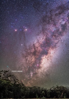 Milky Way & 252P LINEAR _ Australia _ 02 04 2016 _ Alan Dyer _ 2.JPG