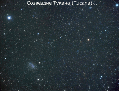Созвездие Тукан (Tucana, Toucan, Tucanae, Tuc) _ 2.GIF