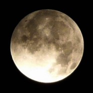 Moon_17.08.08_06-11(GMT+10).jpg