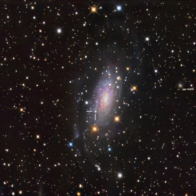 ☆ 12.0m._SN 2024ggi_Type II (z=0.002435)_NGC 3621 (UGC A 232)_Seyfert 2 spiral galaxy (SA(s)d↗HII)_mV 9.4, mB 10.1, mA -20.36, m(sb)² 14.1_Ø 12.3' × 6.8' (120 × 66 Kly)_pa 159°_d⊕ (ly) 24 ± 2 × 10⁶_Hydra_18 04 2024_2.jpg