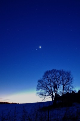 Venus & Saturn _ 19 01 2025 _ 1.jpg