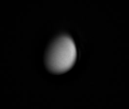 Venus1.jpg