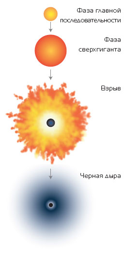 Схема эволюции звезд от протозвезды до черной дыры